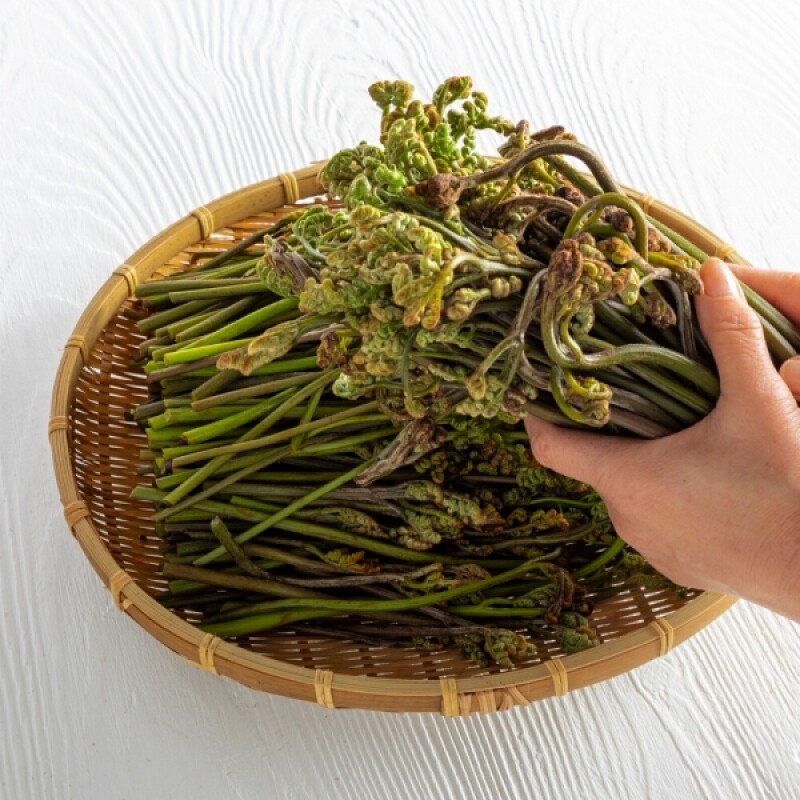 마가팜,정선 마가목 열매 추출 마가목